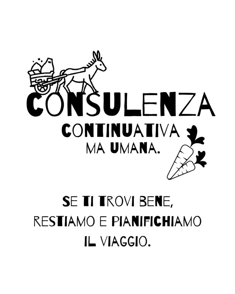 consulenza continuativa. se siamo una bella squadra faremo cose grandissime.