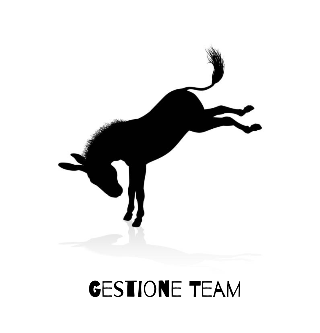 Gestione team, servizio di responsabile marketing e comunicazione esterno
